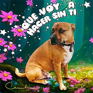 Cecilia Noël – Que Voy a Hacer Sin Tin – Single (2024) Cecilia Noël - Que Voy a Hacer Sin Tin - Single (2024)